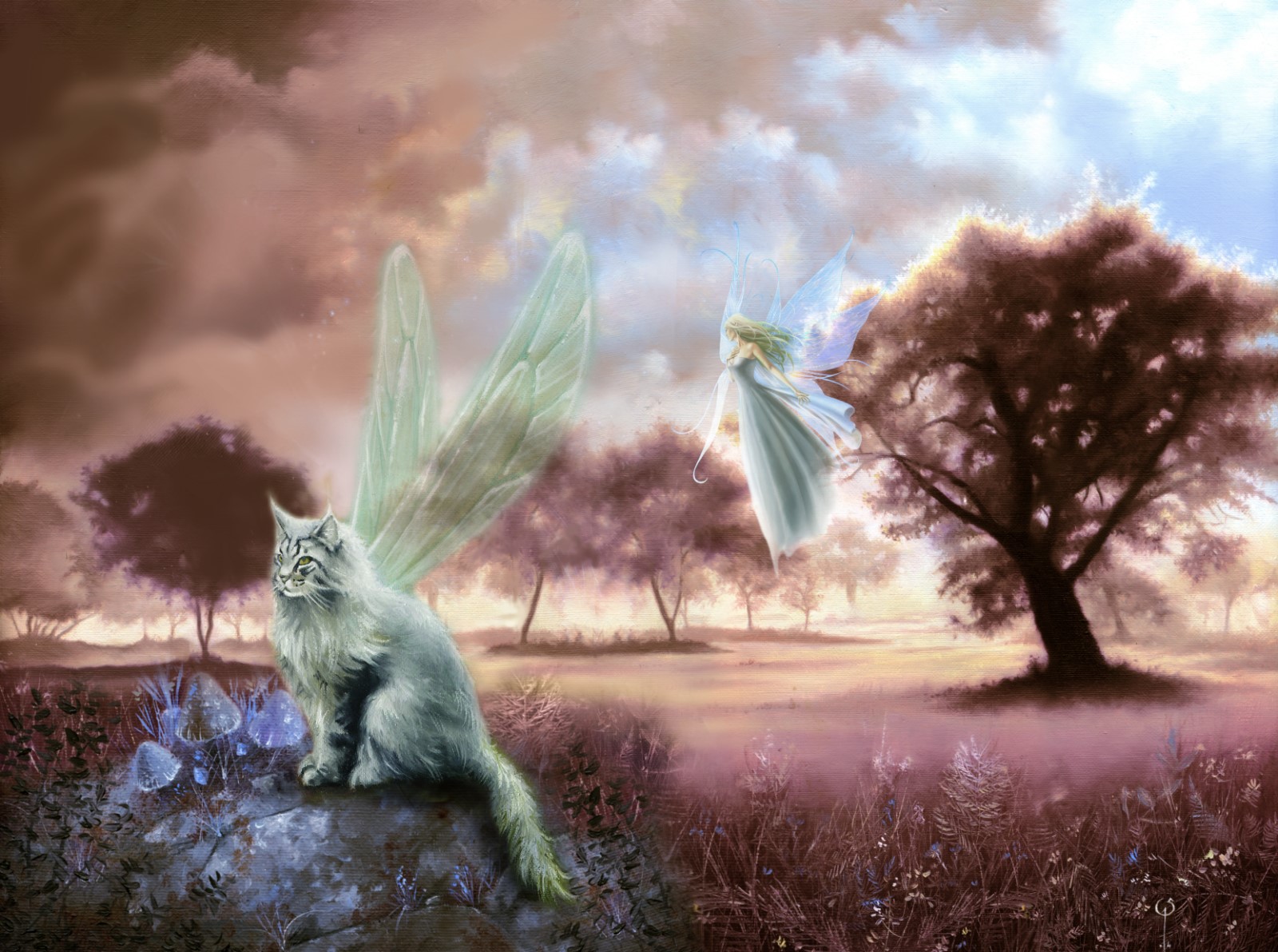 mystic-300-chat-fee-a4tr-ok-stage-huile-2016-1600x1200